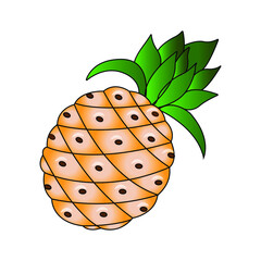 illustration of a pineapple