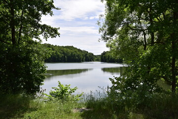 Beautiful view of a lake surrounded by trees, The lake is surrounded by trees . Ulyanovsk, Russia