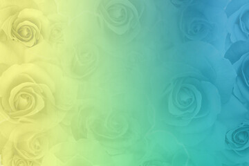 Fototapeta na wymiar blur green and yellow rose flowers bouquet background, template, banner, decor, namecard, copy space