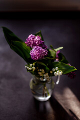 Beautiful lilac flowers branch on a dark background, natural spring background