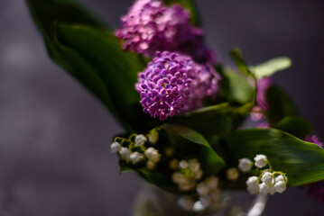 Beautiful lilac flowers branch on a dark background, natural spring background