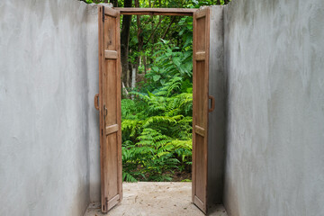 Wooden door open to green tropical plant in coffee cafes