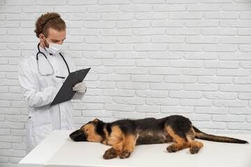 Side view of male vet taking care of German Shepherd. Young doctor in white lab coat and mask making notes with pen, ill dog lying on side on table. Concept living with pets