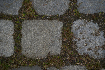 stone path in the garden