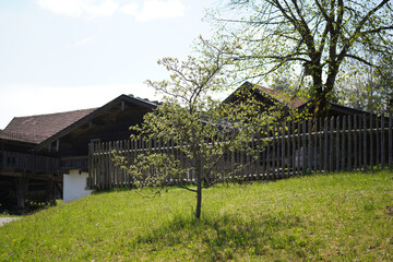 old farm house in the countryside