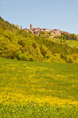 Radicondoli, Siena, Toscana Italia