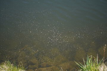water flowing into the water