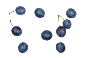 Blackthorn fruits isolated on a white background, top view