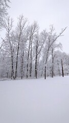 Зимний пейзаж