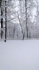 Зимний пейзаж