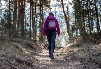 Fototapeta na wymiar Woman going hiking or camping in autumn or spring forest. Back view of traveler with backpack. Trip in loneliness for nature admiring. High quality photo