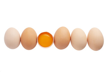 Chicken eggs on a white isolated background
