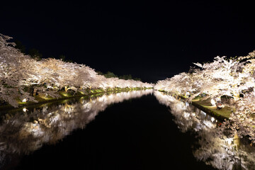 water flowing from a tree