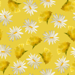 Dandelions and daisies in the forest watercolor seamless pattern. Template for decorating designs and illustrations.	
