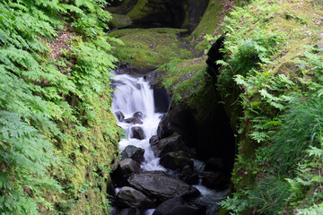 waterfall in the forest