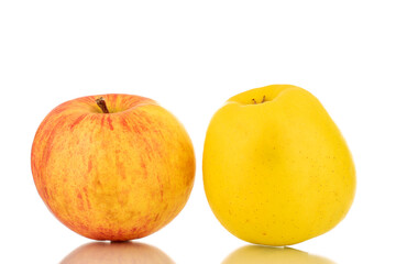 One ripe yellow and one red apple, macro, isolated on a white background.