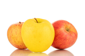 One ripe yellow and two red apples, macro isolated on a white background.
