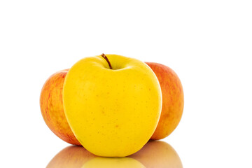 One ripe yellow and two red apples, macro isolated on a white background.