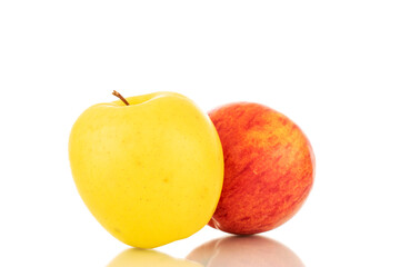 One ripe yellow and one red apple, macro, isolated on a white background.