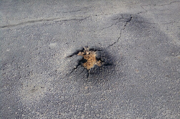 A tree is trying to grow through the asphalt. City Park