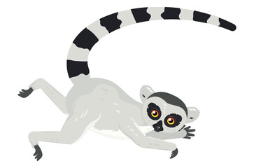 Cartoon lemur catta