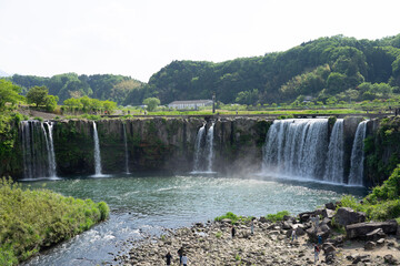 waterfall in the forest