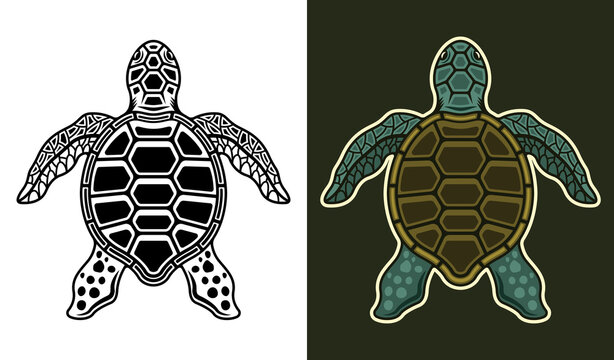 Sea turtle vector illustration in two styles black on white and colored on dark background