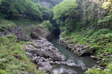 stream in the mountains