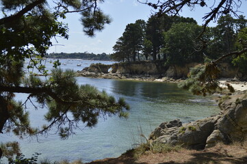 Bretagne, La foret fouesnant