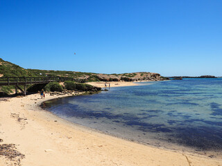 Penguin Island Western Australia beautiful