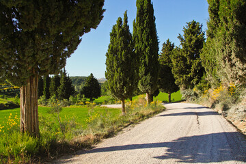 Val d'Orcia,Siena, Toscana,panorami