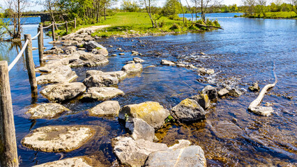 Brug Molenplas with stepping stones, used as a bridge on the Oude Maas river, wooden poles and rope fences, green trees in the background, sunny day in Stevensweert, South Limburg, the Netherlands