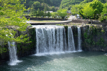 Obraz premium waterfall in the forest