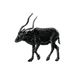 addax illustration isolated on white background