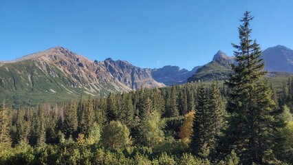 Tatra mountains landscape with conifers and stony mountains in the summer