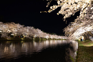 reflection in water