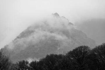 mountain with clouds and fog, pine trees and rock in the pyrenees in black and white