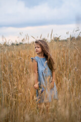 girl is standing  in a wheat field and looking away