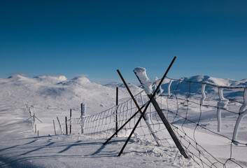 Naklejka na ściany i meble Snow covered animal fence in the mountains