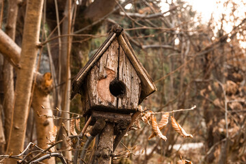 Wooden bird house hidden in the leafless bush in the garden