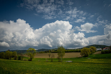 Obraz premium Beautiful meadow with fresh grass and yellow dandelions and flowers in nature with blue sky and big clouds. Summer spring perfect natural landscape. Bayern Germany