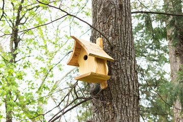 Pretty wooden birdhouse (nesting box or nesthouse) in the wavy shape tied to green tree in the park (forest, yard) at spring (summer) time. Simple design. Shelter for bird breeding. Horizontal plane