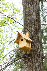 Pretty wooden birdhouse (nesting box or nesthouse) in the wavy shape tied to green tree in the park (forest, yard) at spring (summer) time. Simple design. Shelter for bird breeding. Vertical plane
