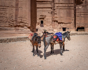 Views of the lost Nabatean city of Petra in Jordan