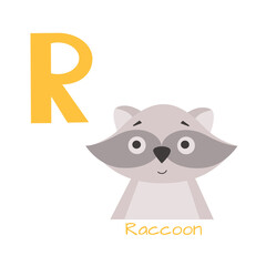 Raccoon