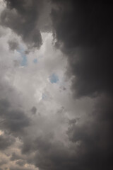 Fotos de flores y cielo nublado