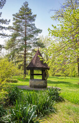 Old water well in the forest