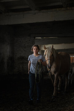 A young beautiful female worker takes care of a horse on a farm.