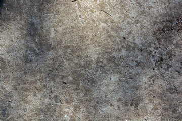 The background of the old concrete path on which you can see the shadow of the leaves.
