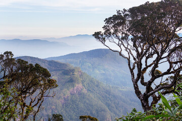Fototapeta na wymiar Mountains on Sri Lanka